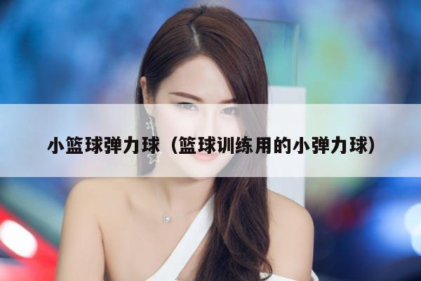 小篮球弹力球（篮球训练用的小弹力球）