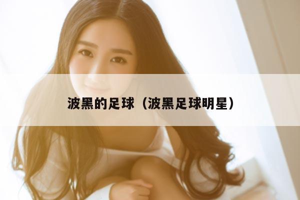 波黑的足球（波黑足球明星）