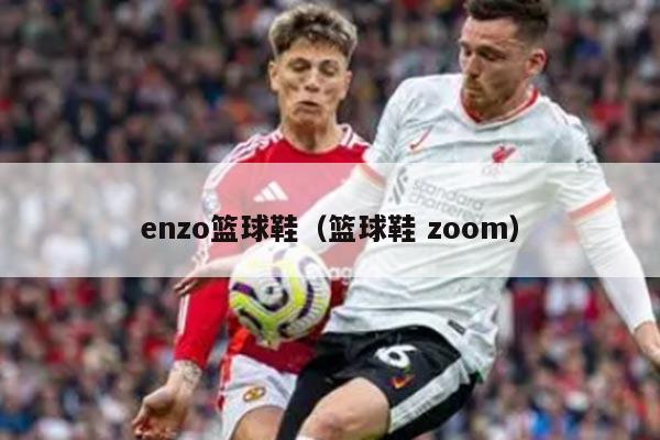 enzo篮球鞋（篮球鞋 zoom）