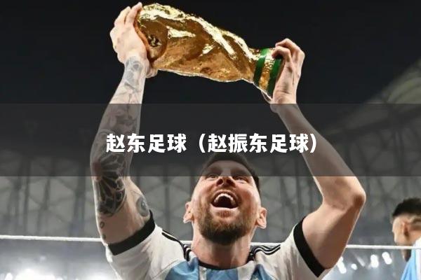 赵东足球（赵振东足球）