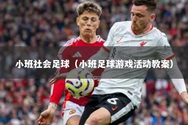 小班社会足球（小班足球游戏活动教案）