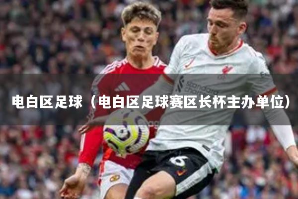 电白区足球(电白区足球赛区长杯主办单位)